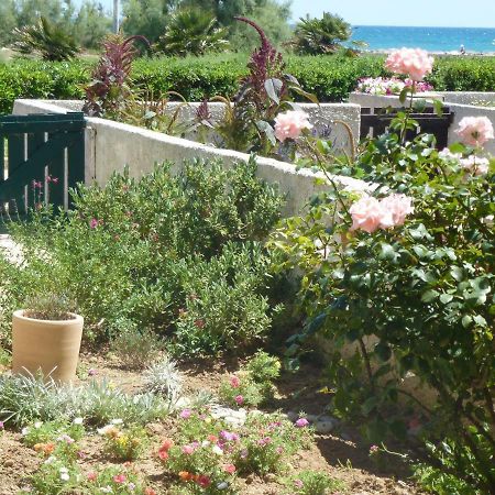 Appartement Goelands à Palavas-les-Flots Extérieur photo