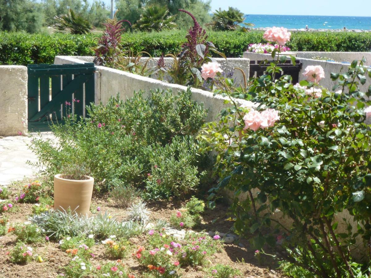Appartement Goelands à Palavas-les-Flots Extérieur photo